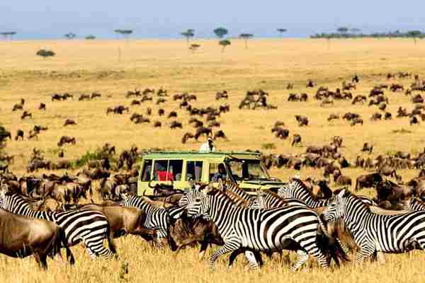 tanzania-tanzania-serengeti-national-park_1503569036.jpeg