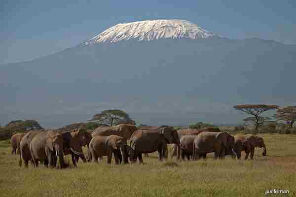 elefantes-en-el-parque-nacional-de-aberdare-en-kenia-54877-xl.jpg